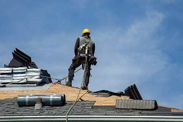 Professional Roof Installation technician working in Newhebron, MS